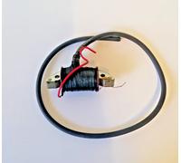 BOBINA INTERNA IMPIANTO DUCATI USCITA CAVO LATER. SX -CM- MINARELLI-VOLPI BOTT.