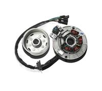 Bobina Magnete statore 12V AC Kit volano statore Magnete accensione con Luce per YINXIANG YX 140cc 150cc 160cc KAYO BSE per SDG SSR Pitsterpro