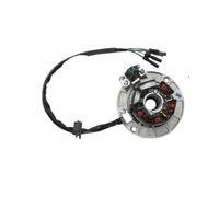 Bobina Magnete statore 12V AC Kit volano statore Magnete accensione con Luce per YINXIANG YX 140cc 150cc 160cc KAYO BSE per SDG SSR Pitsterpro