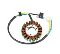 Bobina Magnete Statore A 18 Poli Di Ricambio Moto Per YP250 Accessori Per Per Statore Magnete Piastra Bobina