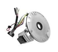 Bobina Magnete statore accensione Piastra Magnete statore Bobina per 50cc 70cc 90cc 110cc 125cc XR50 per SDG SSR 107 110 125 CC ATV Go Kart