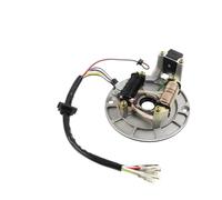 Bobina Magnete statore accensione Piastra Magnete statore Bobina per Motore Moto 50cc 70cc 90cc 110cc 125cc XR50 per SDG SSR 107 110 125 CC
