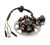Bobina magnete statore compatibile con quad ATV 90 90cc