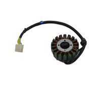 Bobina Magnete Statore Cyclone RX1S Rx1 Zs150-51 Zs200-51 Per Motore Per Zongshen 200cc 150cc 12v 18 12 Bobine Accessori Statore Magnete(12coils)