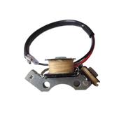 Bobina magnete statore generatore compatibile con pezzi di ricambio motore generatore Tiger 650W 950W 1000W 1KW