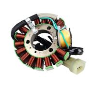 Bobina Magnete statore Generatore Motore Magnetico Bobina statore per DT230 DT 230 Lanza 1997-1998 4TP-85510-00 Moto Generatore Ricarica