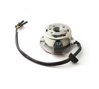 Bobina Magnete statore Kit rotore statore con Luce per YX YINXIANG Motore 150cc/160cc Moto PRO Automic