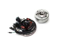 Bobina Magnete statore Kit rotore statore con Luce per YX YINXIANG Motore 150cc/160cc Moto Statore Moto