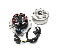 Bobina Magnete statore Kit rotore statore Magnete Luce per Motore YINXIANG 150cc 160cc Accessori Moto Automic