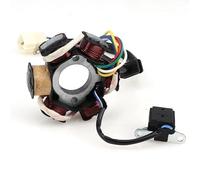 Bobina Magnete Statore Moto Bobina Dello Statore Del Magnete Di Avviamento Elettrico A 6 Poli Generatore Della Motocicletta Universale