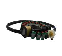 Bobina Magnete Statore Moto Bobina Magnete Statore Accensione Moto Motore 12v 16 Bobine Per ZS200GY-2 250GS LY200 200cc 250cc