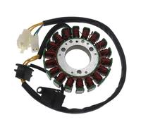Bobina Magnete Statore Moto Bobina Magnete Statore Moto 18 Bobine 32101-38302 Per GN250 1982-2001