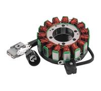 Bobina Magnete Statore Moto Bobina Statore dell'accenditore Generatore Motocicletta per YXR700F per Rhino 700 per Sports per Edition per Hunter per Ducks