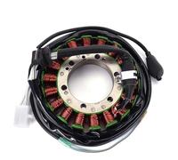 Bobina Magnete Statore Moto Bobina Statore Generatore per Motocicletta per XR650L 1993-2016 per NX500 NX650 per Dominator 1991-1999 per FMX650 2005-2006