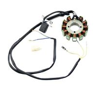 Bobina Magnete Statore Moto Bobina Statore Magneto 12/18 Poli Per Accessori Moto Per CG250 CG200