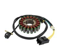 Bobina Magnete Statore Moto Bobina Statore Magneto Accensione Originale per Moto per 250NK 250SR 300NK 300SR 300NK CF300 0DM0-032000 0A80-032000-20000
