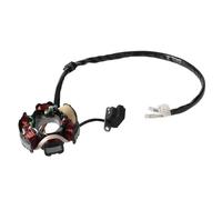 Bobina Magnete Statore Moto Bobina Statore Motore Motocicletta Magnete A 5 Fili E 6 Poli Accensione Universale