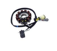 Bobina Magnete statore Moto CC 12V Gruppo Bobina statore generatore Magnete accensione per Zongshen NC250 NC450 MOTOLAND AVANTIS ZS177MM ZS194MQ-2
