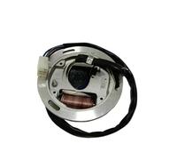 Bobina Magnete statore Moto Kit rotore Interno Statore accensione Bobina Magnete con Piastra per 100cc AX 100 AX100 2 Tempi a 2 Poli