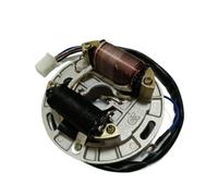 Bobina Magnete statore Moto Kit rotore Interno Statore accensione Bobina Magnete con Piastra per 2 Tempi 100cc AX 100 AX100 in 2 Poli