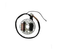 Bobina Magnete statore Moto Kit rotore Interno Statore accensione Bobina Magnete con Piastra per 2 Tempi 100cc AX 100 AX100