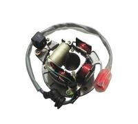 Bobina Magnete statore Moto Kit rotore Interno Statore accensione Bobina Magnete con Piastra per Bajaj 100cc CT BM CT100 BM100 100 Ricambi in 4 Poli