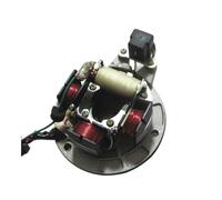 Bobina Magnete statore Moto Kit rotore Interno Statore accensione Bobina Magnete con Piastra per Bajaj 100cc CT BM 100 CT100 BM100 Ricambi in 4 Poli