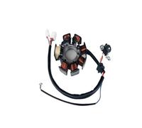 Bobina Magnete statore Moto Kit rotore Interno Statore accensione Bobina Magnete per 125 YBR125 YBR 125 in Corrente alternata Modello 7 Poli