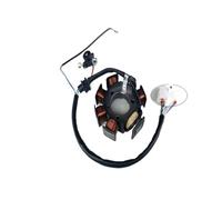Bobina Magnete statore Moto Kit rotore Interno Statore accensione Bobina Magnete per 125 YBR125 YBR 125 in Corrente alternata Modello 7 Poli