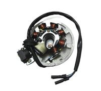 Bobina Magnete statore Moto Kit rotore Interno Statore accensione Bobina Magnete per XH90 TB50 AX100 Parti 2 Tempi in Moto a 7 Poli
