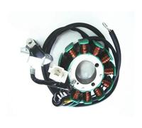 Bobina Magnete statore Moto Kit rotore Interno Statore Bobina Magnete accensione per 125cc CG 125 CG125 in Motore Moto a 12 Poli