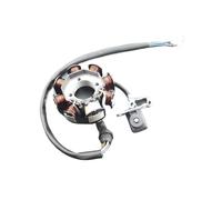 Bobina Magnete statore per CCG125-8 150 150cc 200cc 250cc Bobina a 8 Poli Piastra Magnete statore accensione Accessori per Moto e ATV