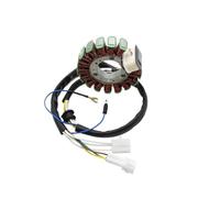 Bobina Magnete statore per generatore di motociclette TTR225 TT-R225 XT225 Serow 225 ST225 Bronco 225 4JG-85510-01