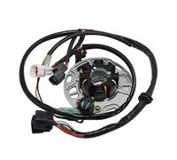 Bobina Magnete statore per Moto, generatore Magnete, Bobina statore per KX250 KX250-K5 KX 250 1998 21003-1380, Accessori rotore accensione Motore.