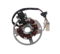 Bobina Magnete statore rotore Interno accensione Statore Bobina Magnete per Motore 50cc Jog 50 Evo JOG50 NF50 3KJ QJ50 ZR50 in Moto a 7 Poli