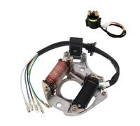 Bobina Magnete statore Statore 2 Bobine Piastra Magnete di accensione per 50cc 70cc 90cc 110cc 125cc Sunl ATV Quad Moto Bobina statore Magnete