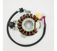 Bobina magnetica 12V a 16 poli JS250 per statore ATV250-5 da 250 cc