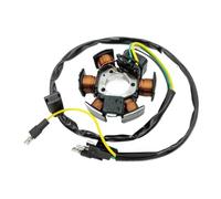 Bobina Magnetica Dell'alternatore Della Piastra Dello Statore Del Generatore Motocicletta Per RS50 RX50 MX50 Per TZR50 Bobina Magnetica Accensione