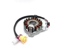 Bobina magnetica FIT JS250 per Loncin per Bashan 250CC per statore per JIANSHE ATV QUAD ATV250-5 12V 16 poli