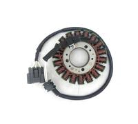 bobina magneto statore 18 Bobine Di Accensione Statore Magnete Per YZF R1 YZF-R1 2002-2003 Moto Generatore Moto Statore Accensione