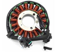 Bobina Magneto-statore Accensione Moto per EX300 per Ninja 300 250 250R EX250 ER250 Z250 ER300 Z300 ABS 21003-0128