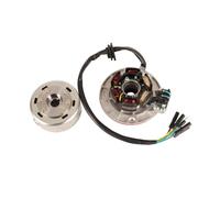 bobina magneto statore Kit Volano Magnete Statore Accensione 12V AC Per YX Ying Xiang 140cc 150cc 160cc Moto Pit ATV GO Kart Bobina