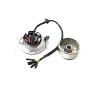 bobina magneto statore Kit Volano Magnete Statore Di Accensione 12V AC Con Luce Per YINXIANG YX 140cc 150cc 160cc KAYO BSE Per SDG SSR Pitsterpro