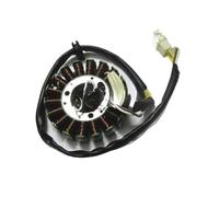 bobina magneto statore Moto Rotore Interno Kit Accensione Statore Magneto Bobina Per 125cc AN125 AN 125 Parti In 18 Poli