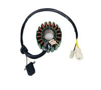 bobina magneto statore Moto Rotore Interno Kit Accensione Statore Magneto Bobina Per AN125 125cc AN 125 AN150 HJ125T-7 Parti In 18 Poli