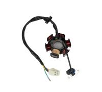 bobina magneto statore Parti Del Motociclo Statore 5 Fili Magneto Statore Bobina Di Accensione Per DY100 C100 100 CC 6 Poli DC Onda Intera Moto
