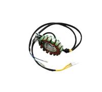 bobina magneto statore Poli 18 Bobina Statore Magneto Motore 200W Per Li&fan Zo&ngshen CG250 Motore 250cc 200CC ATV QUAD Bu&ggy Moto