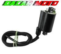 Bobina MALAGUTI 250 MADISON S 1999 2000 2001 RMS 246010092