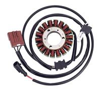 Bobina Moto Magneto Statore Moto Generatore Statore Bobina Per Fuoco 500 4T 4V vale a dire E3 LT 2007 2008 2009 2010 2011 2012 2013 2014 58108R