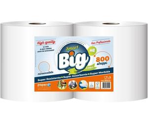 Bobina multiuso asciugatutto Big smart 2 veli 800 strappi 2 rotoli